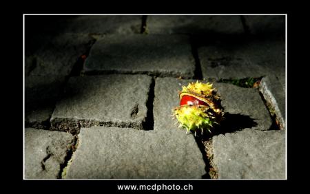 Automne